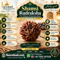 Shamsi Rudraksha